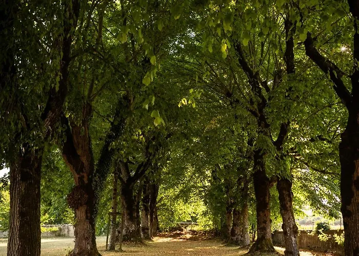 Alojamento de Acomodação e Pequeno-almoço Logis Du Paradis